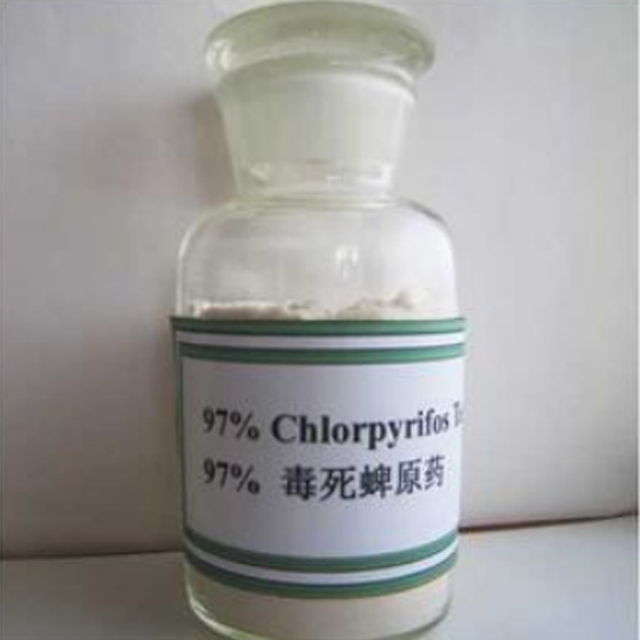 Chlorpyrifos TECH